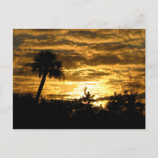 湿地モーニングII ポストカード