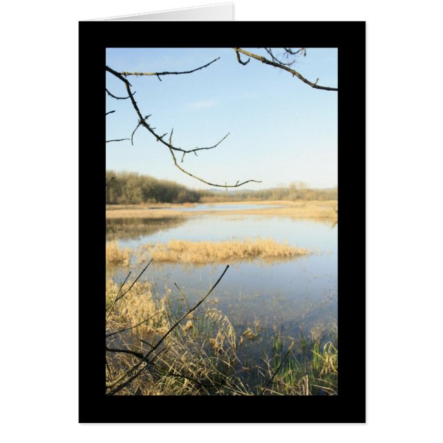 湿地ワンダーランド (正面)