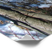 湿地凍ってい池 ポスター (角)