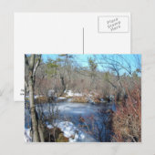 湿地凍ってい池 ポストカード (正面/裏面)