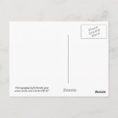 湿地凍ってい池 ポストカード (裏面)