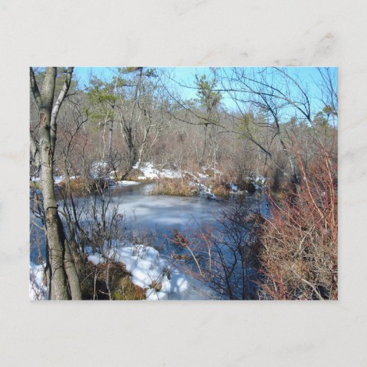 湿地凍ってい池 ポストカード (正面)