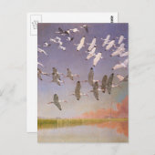 湿地帯のト飛んでいるキの群れとヴィンテージ鳥 ポストカード (正面/裏面)