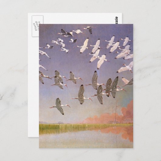 湿地帯のト飛んでいるキの群れとヴィンテージ鳥 ポストカード (正面/裏面)