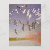 湿地帯のト飛んでいるキの群れとヴィンテージ鳥 ポストカード (正面)