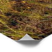湿地帯のハンター犬ポスター ポスター (角)