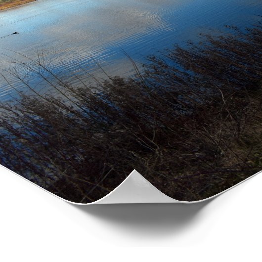 湿地帯を一望 ポスター (角)