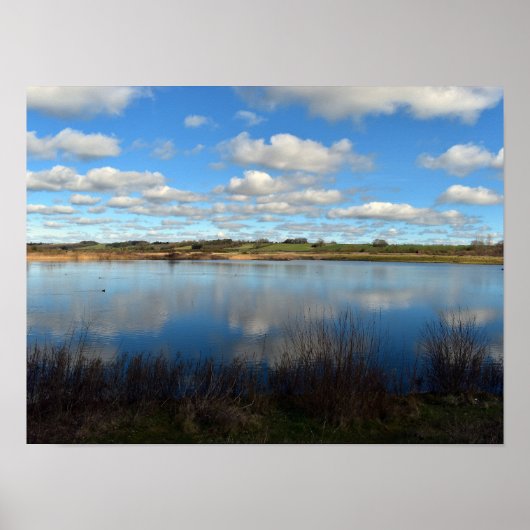 湿地帯を一望 ポスター (正面)