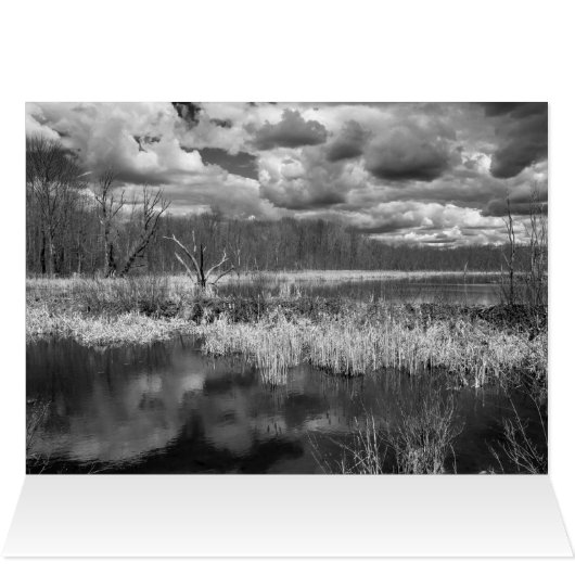 湿地雲海 (内部横(上))