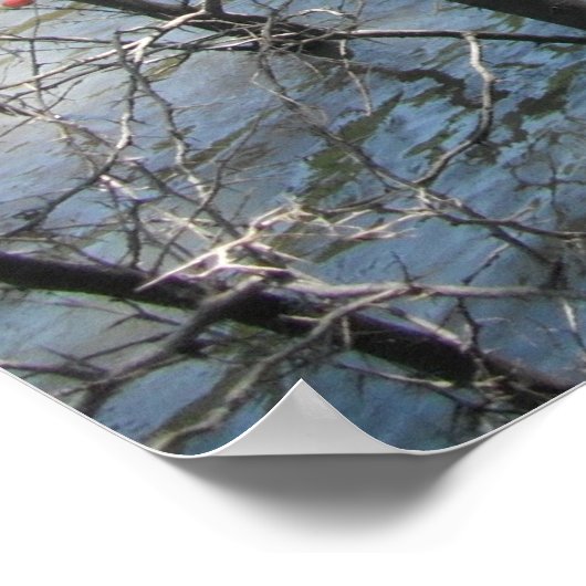 湿地 ポスター (角)