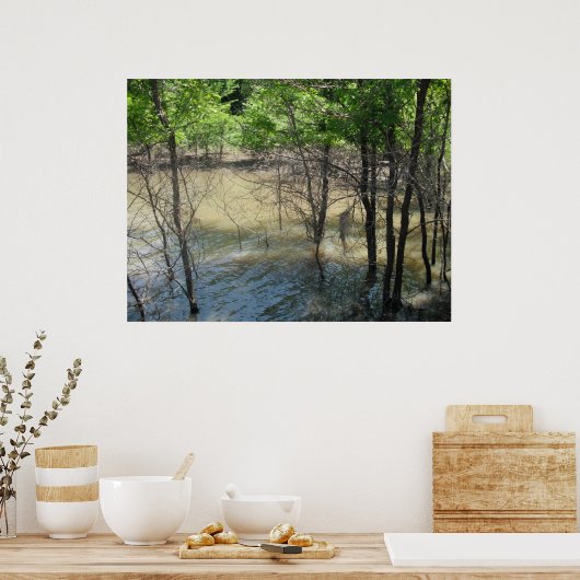 湿地 ポスター (キッチン)