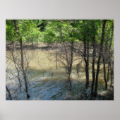 湿地 ポスター (正面)