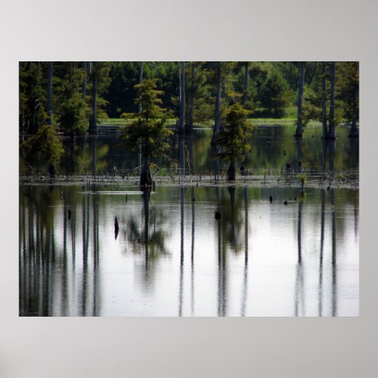 湿地 ポスター (正面)