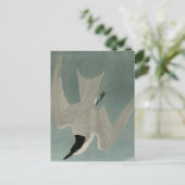 湿地 ポストカード (スタンド正面)