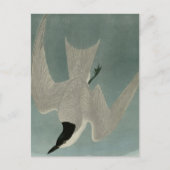 湿地 ポストカード (正面)