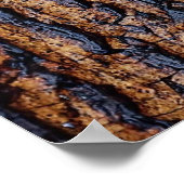 湿木の樹皮 ポスター (角)