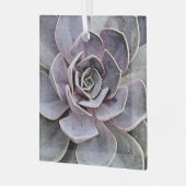 湿気植物（多肉植物） ガラスオーナメント (正面左)