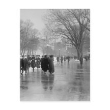 湿潤舗装上の反射