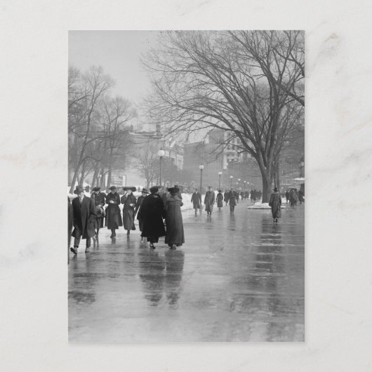 湿潤舗装上の反射 ポストカード (正面)