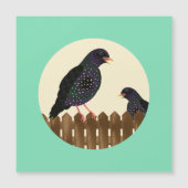 満天の園鳥が柵の上に座った (正面)