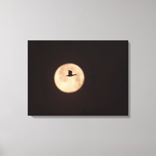 満月に当たる雪の鵞鳥 |ニューメキシコ キャンバスプリント (正面)