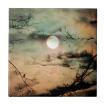 満月に願い事をする