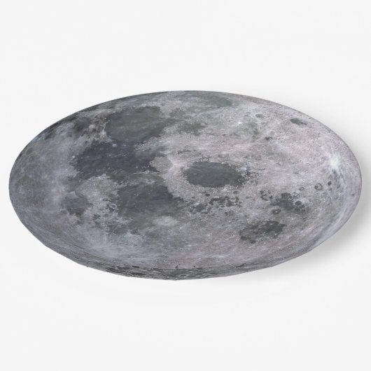 満月のカスタムな紙皿 ペーパープレート (アングル)