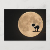 満月のハロウィーンのゴシック様式の黒猫 ポストカード (正面)