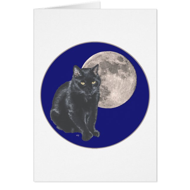 満月の下の黒猫 (正面)