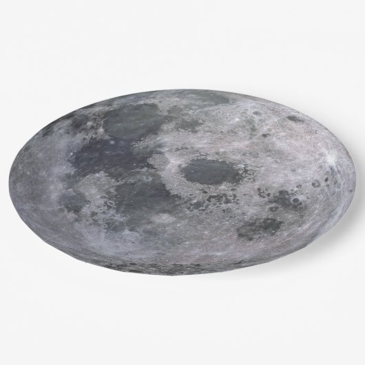 満月の使い捨て可能な紙皿 ペーパープレート (アングル)