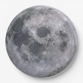 満月の使い捨て可能な紙皿 ペーパープレート (正面)