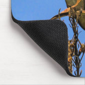 満月の前に止まるアンナハチドリの写真 マウスパッド (コーナー)