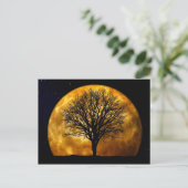 満月の夜のはがき ポストカード (スタンド正面)