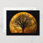 満月の夜のはがき ポストカード (正面/裏面)