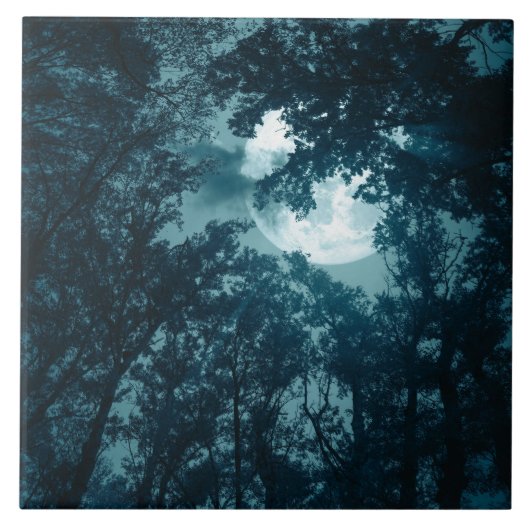 満月の夜の森 タイル (正面)