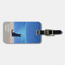 満月の星空の夜の黒猫