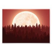 満月の森の夜:穏やかな風景 フォトプリント (正面)