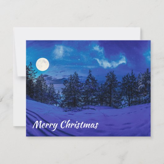 満月の森の星空の夜 (正面)