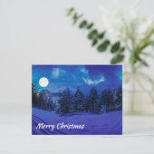 満月の森の星空の夜 (スタンド正面)