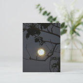 満月の狂気 ポストカード (スタンド正面)