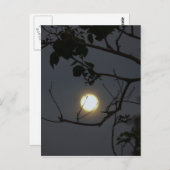 満月の狂気 ポストカード (正面/裏面)