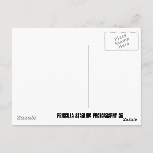 満月の狂気 ポストカード (裏面)