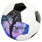 満月の針金に黒い猫 サッカーボール (3/4)