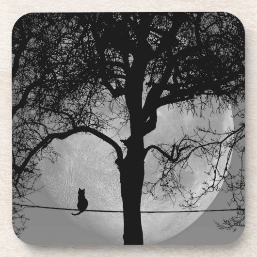 満月の針金の上の猫 コースター (正面)