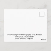 満月はがき ポストカード (裏面)