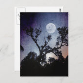 満月はがき ポストカード (正面/裏面)