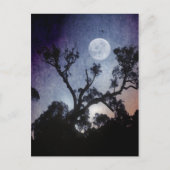 満月はがき ポストカード (正面)