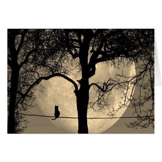 満月を描いた猫の空白の中 (正面横)