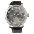 満月を見る月と月に愛し