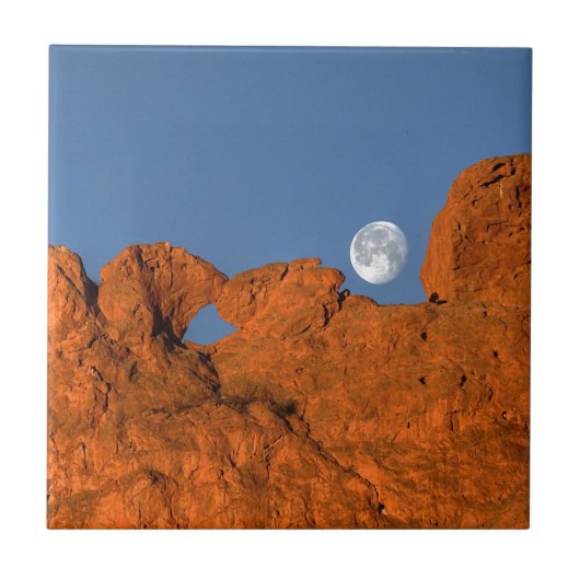 満月キスをするのラクダ岩の形成 タイル (正面)